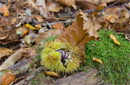 免费ddos平台攻击