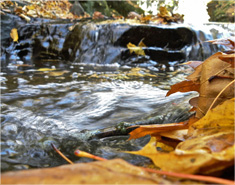创新独特精致的免费cc攻击测试